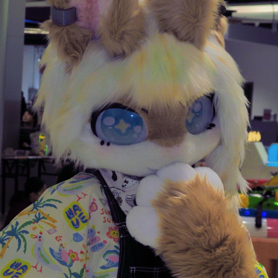 兔咕哩咚🔜白兽渊