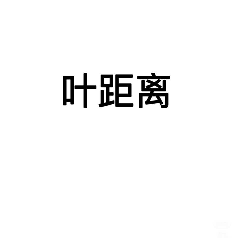 叶距离女鞋