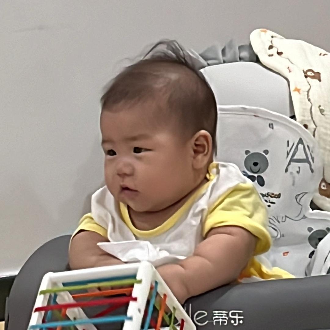 一只陈多多