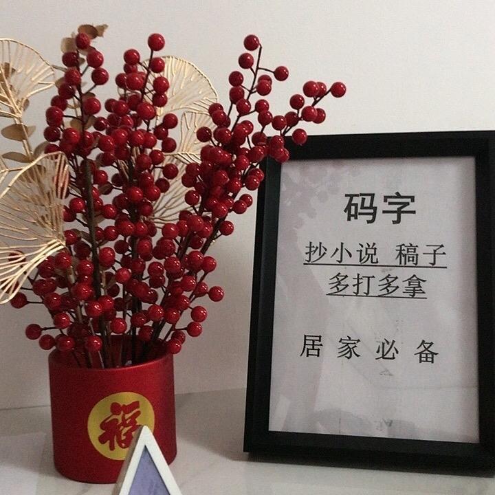 码字第一人