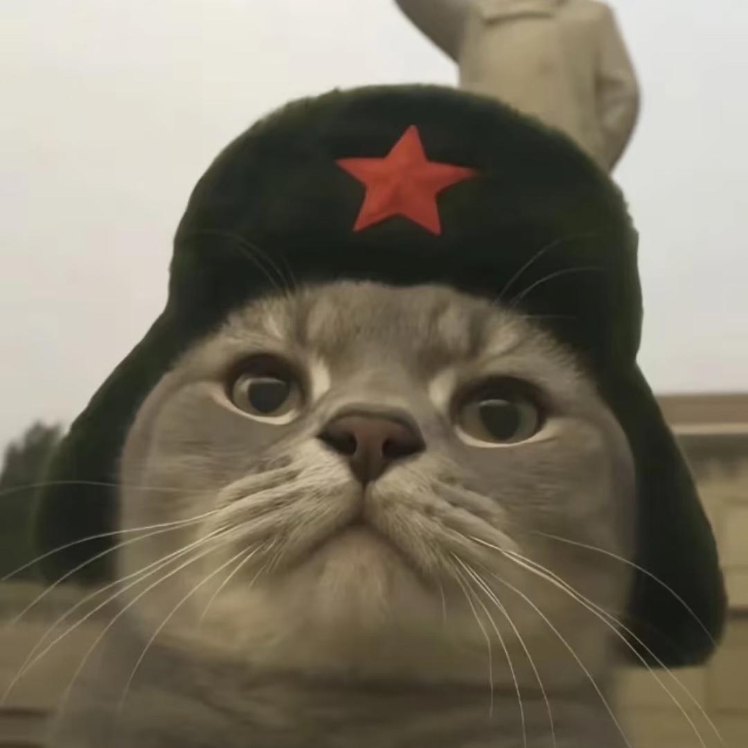 Forever Love半岛铁头