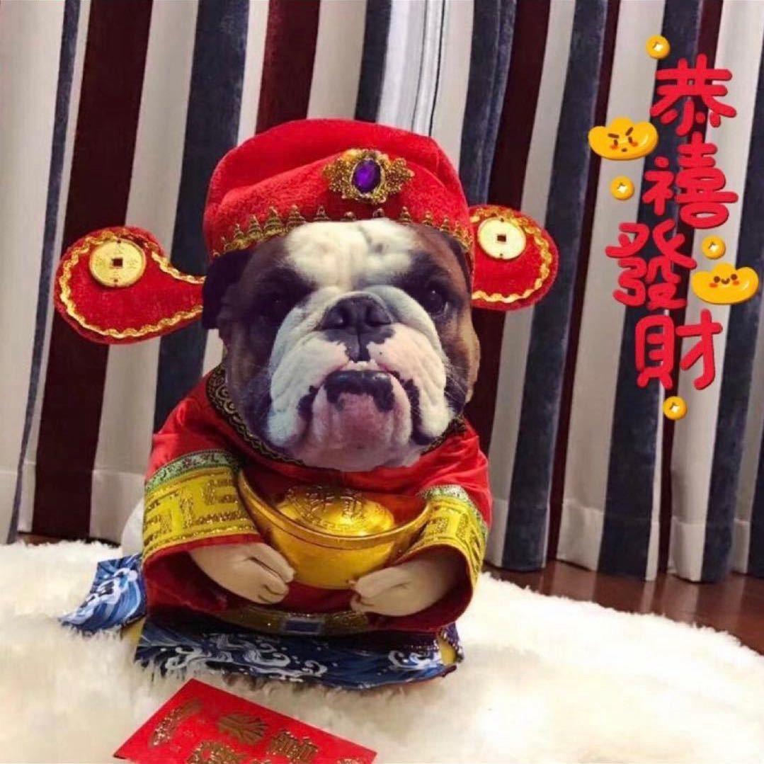 永远都是大壮麻麻呀