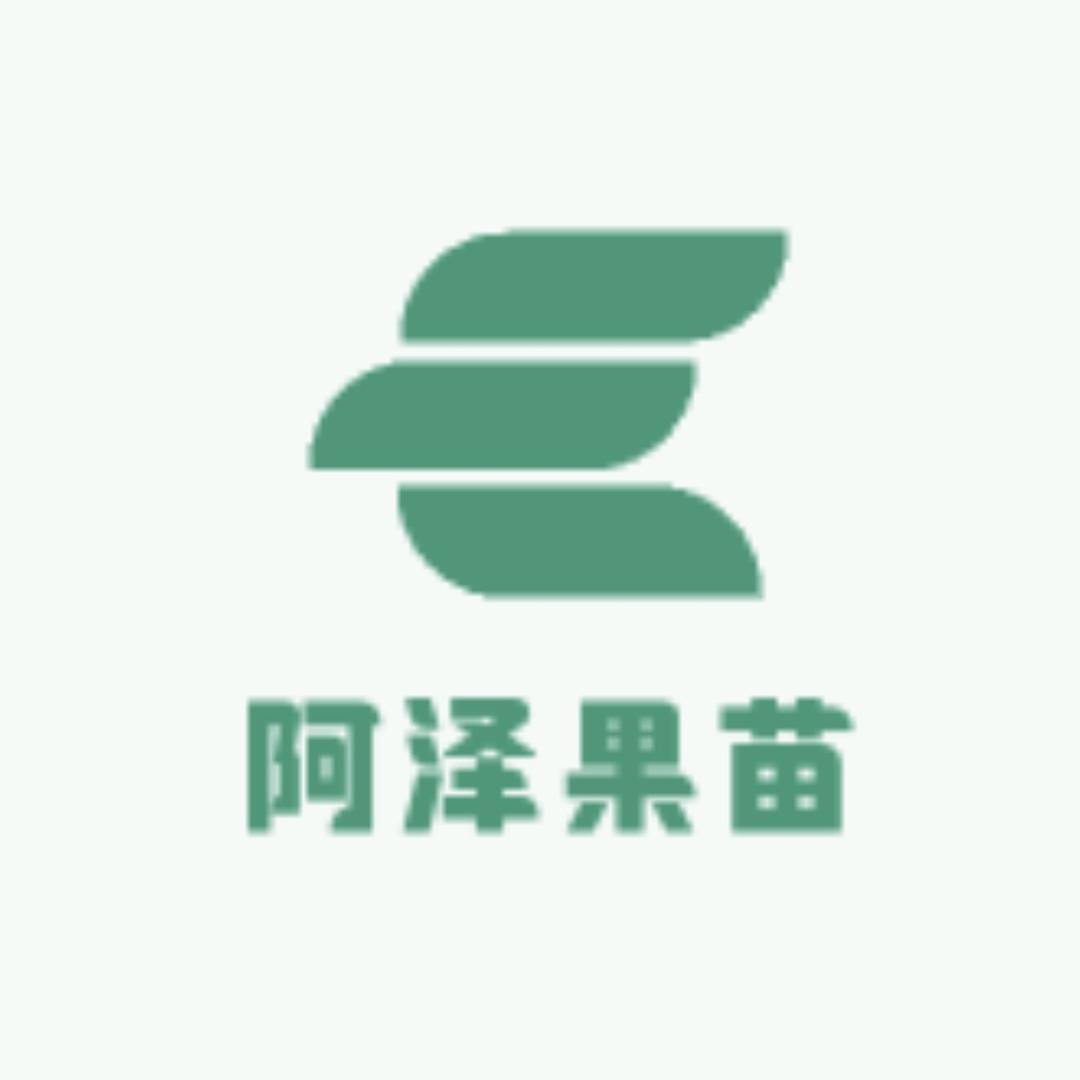 啊泽果苗