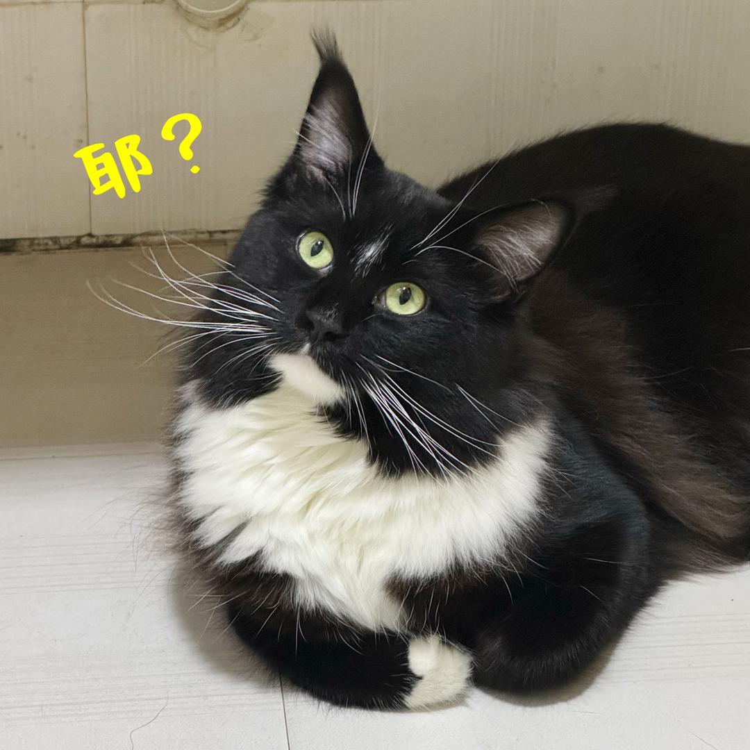 顺行逆行看心情