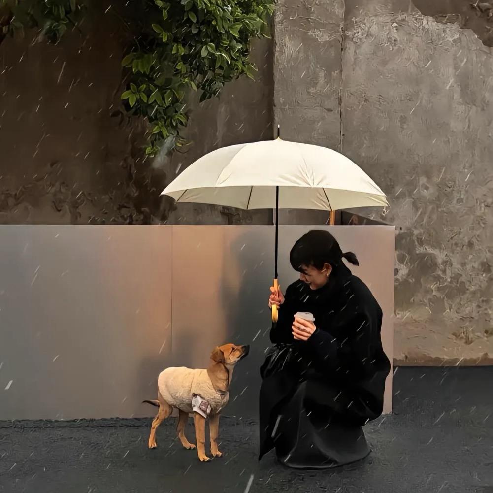 加多宝是个帅哥🐶