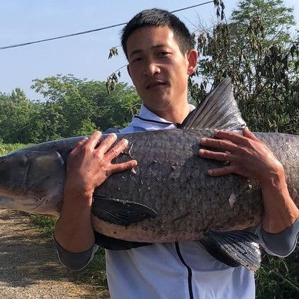 酒精爱钓鱼🎣