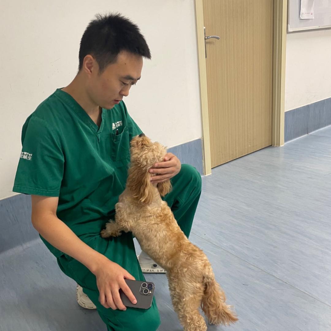 神经科宠物医生李大鹏