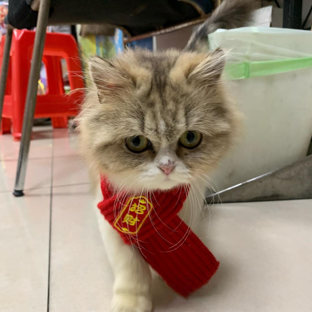 天选打工人—彬