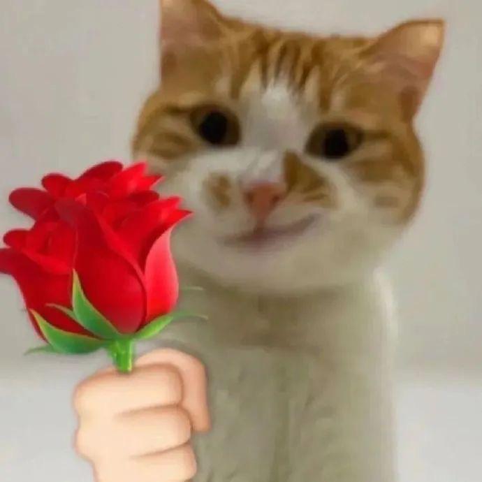 又忘了-