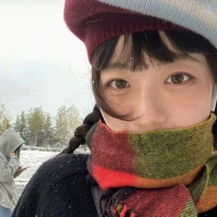 左木鸟儿🐦