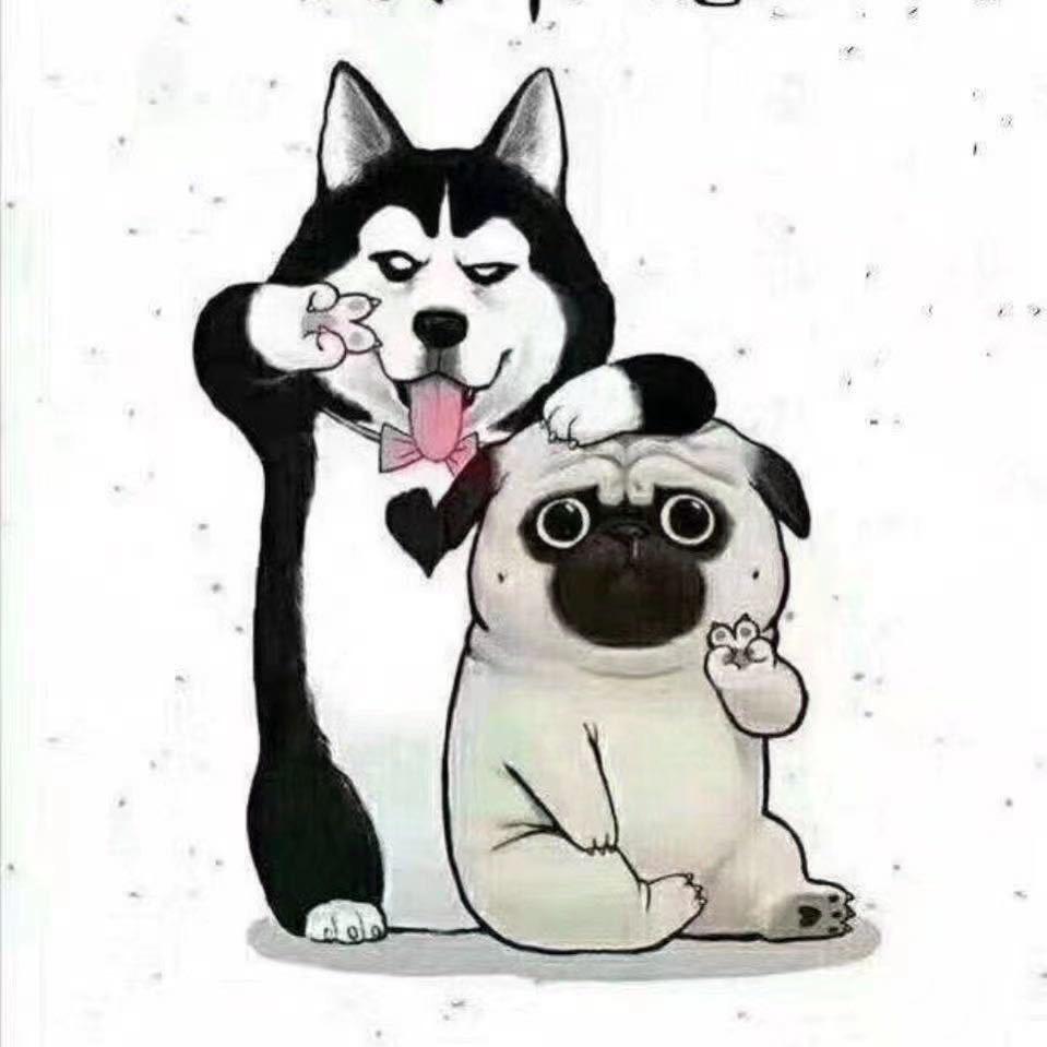 名字不好取🥺