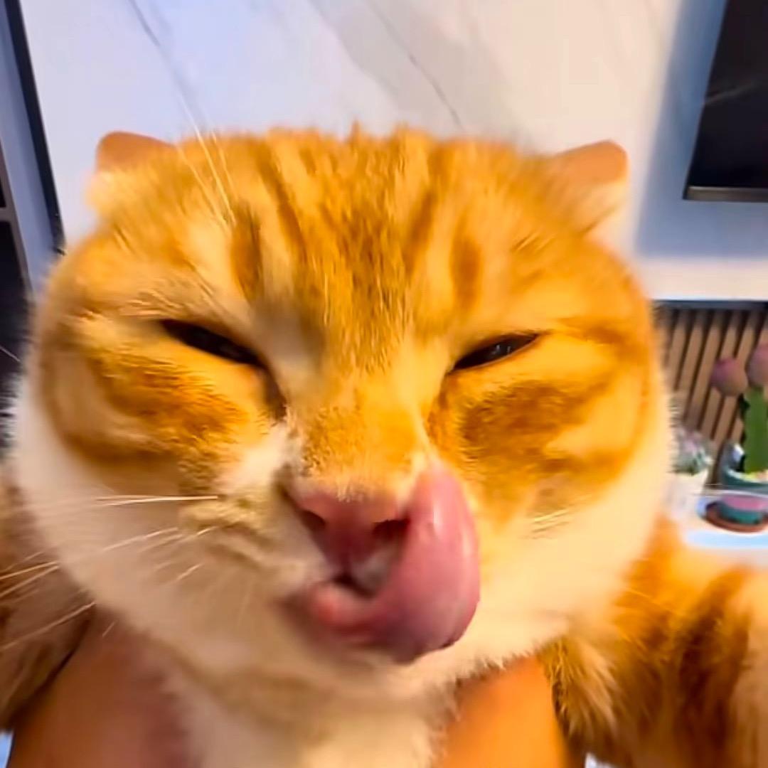 生活小碎片