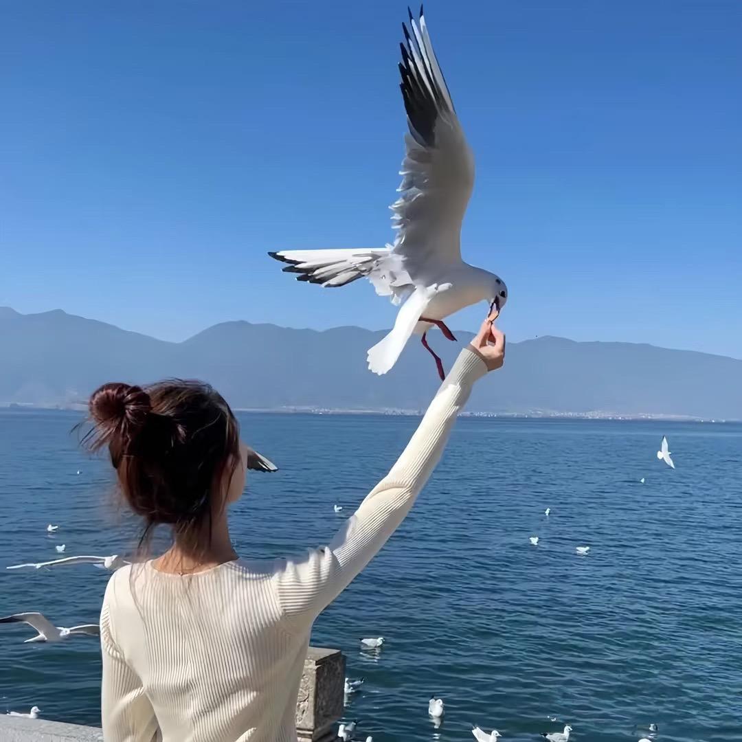 默默旅行(北京私人定制)