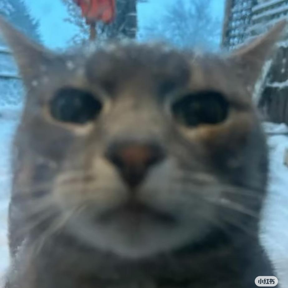 qwq