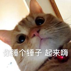 晓静@
