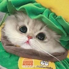 春