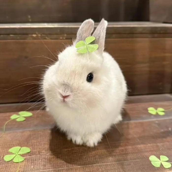 小蔓阿姨