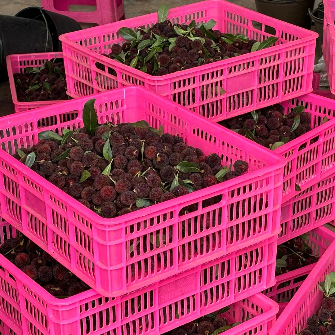 仙居欣腾杨梅商行