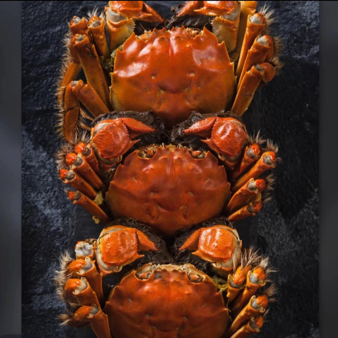 苏州大闸蟹·钱姐