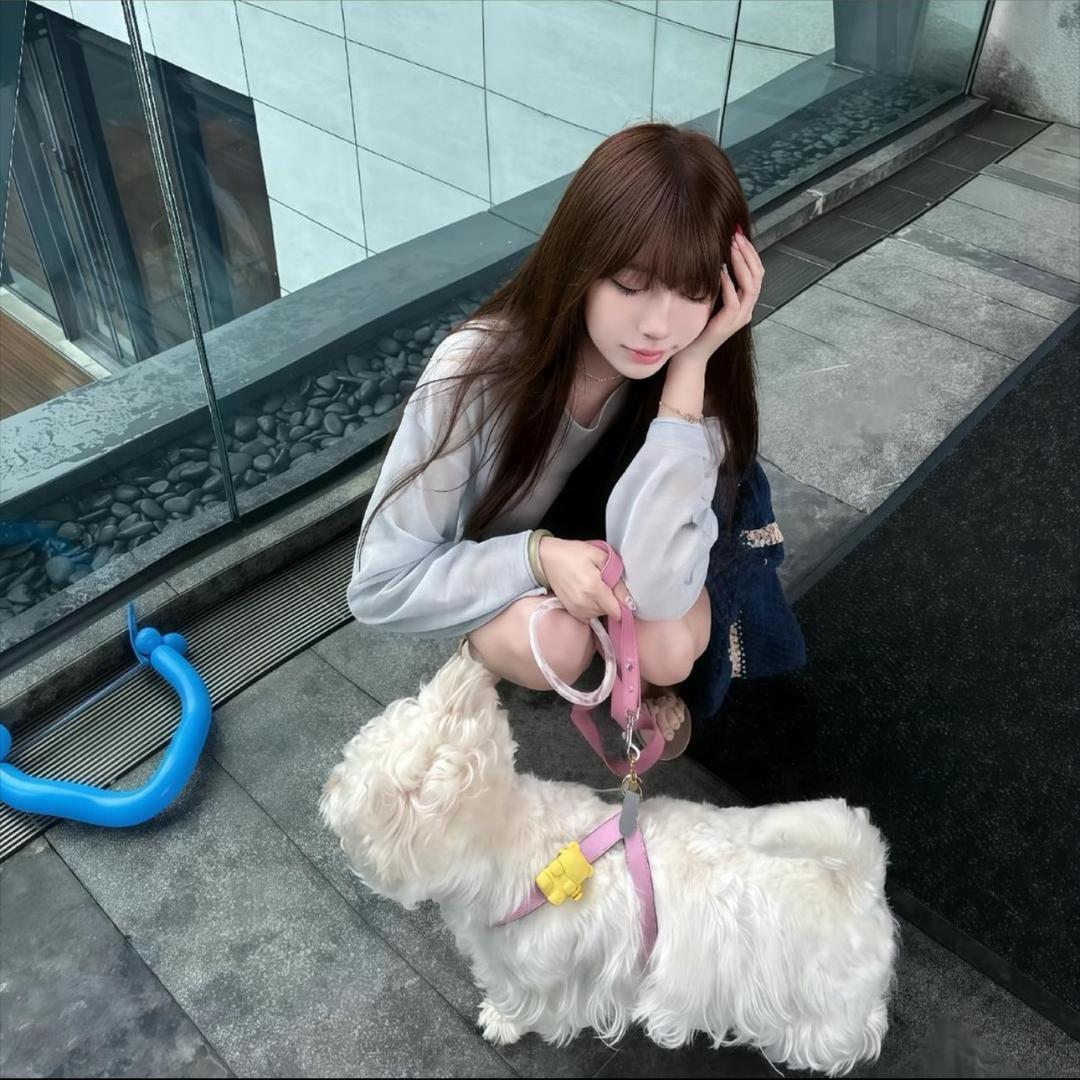 煎翅