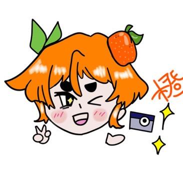 摄影师 橙子🍊