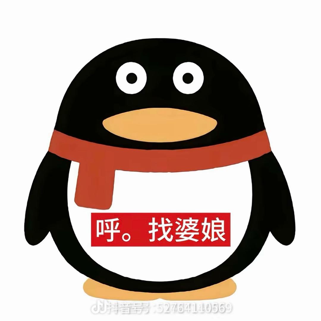 派π