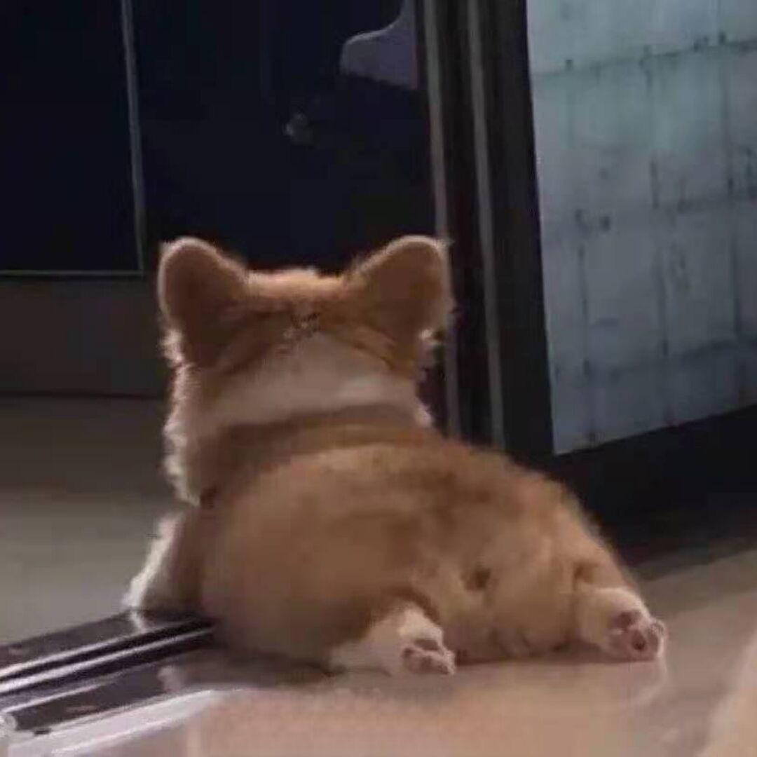 意