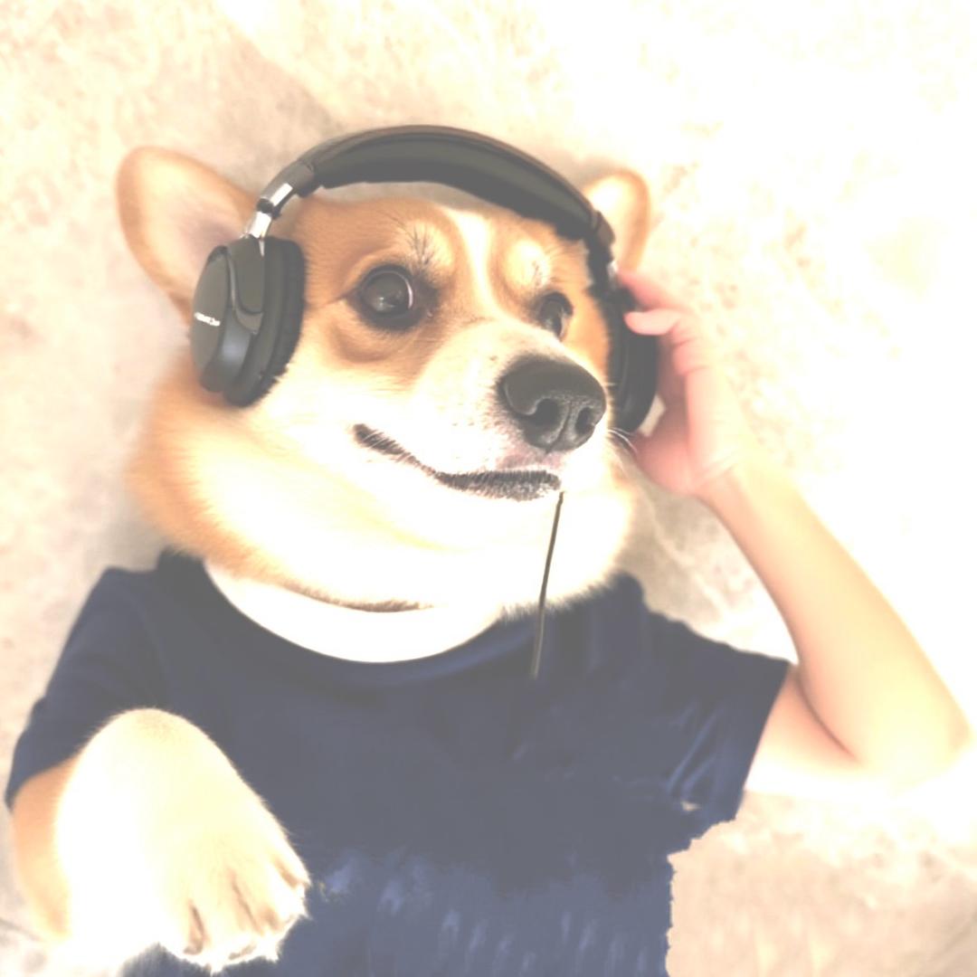 丸