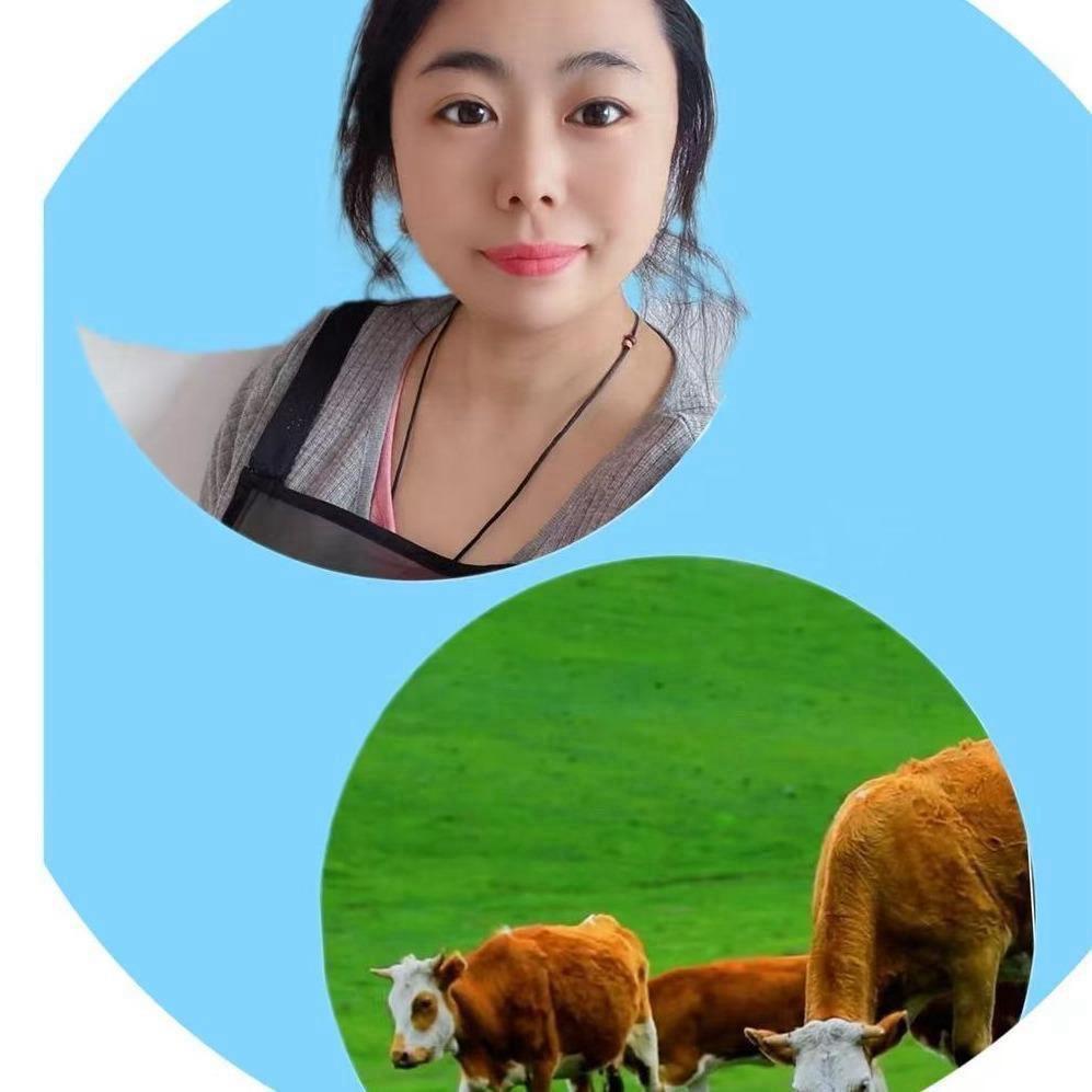 大厂鑫姐清真牛羊肉