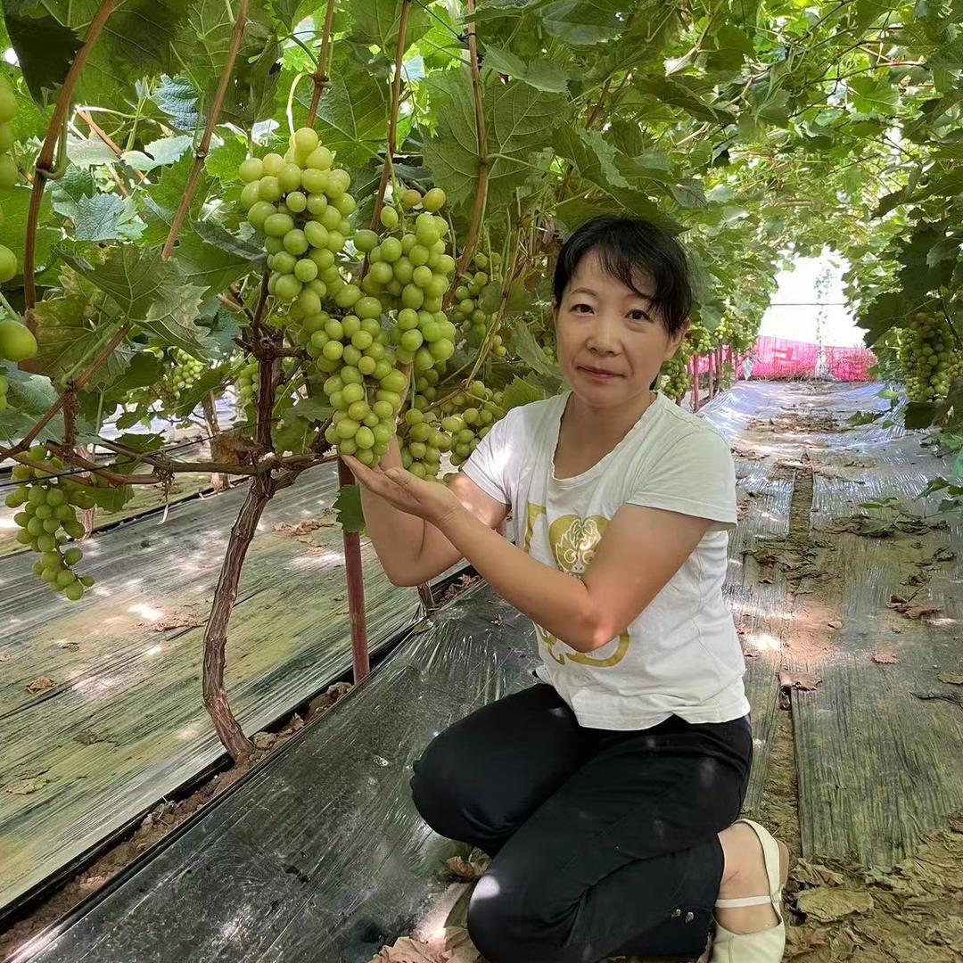 森广果树苗木专营店