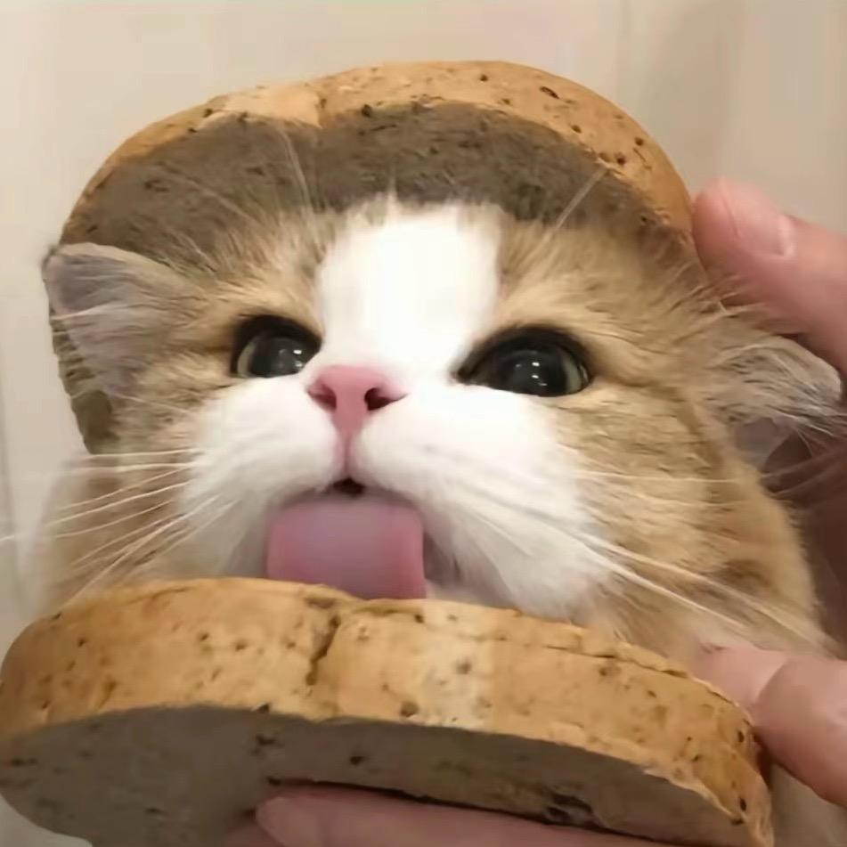 被感情刀了十二下📌