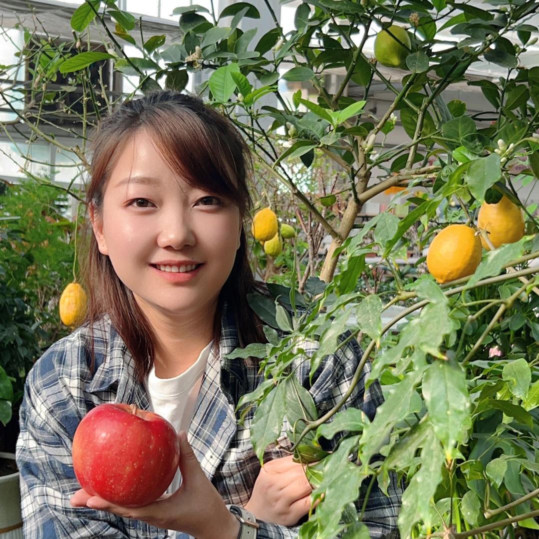 荟多鲜农林