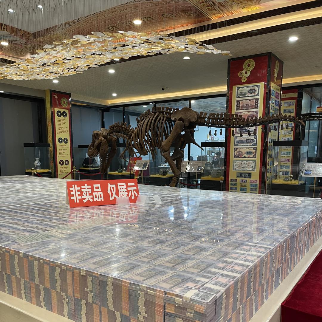 龙华收藏 花花