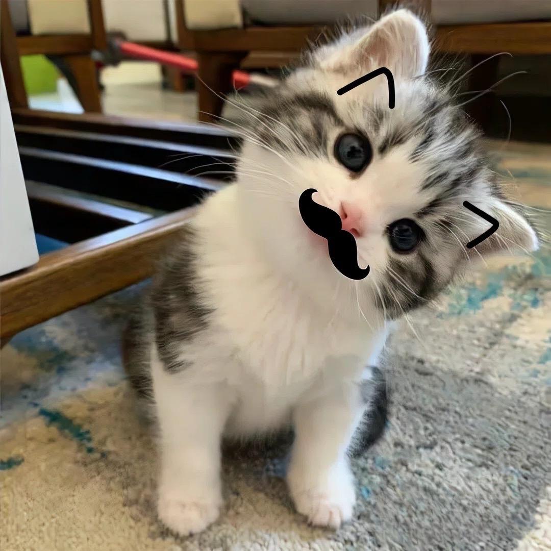 •