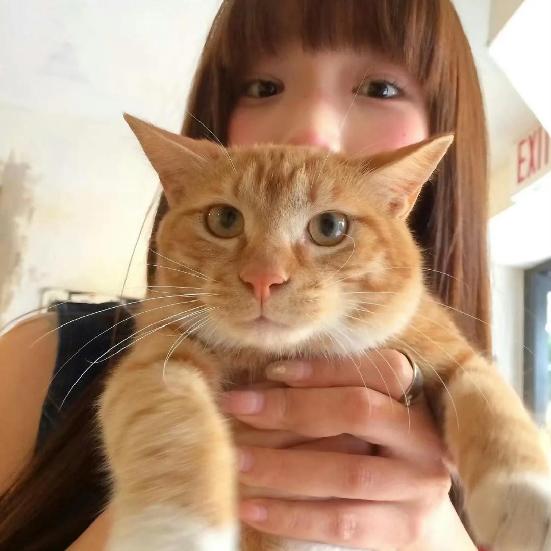 𝙎𝙞𝙠.𝙔⁹