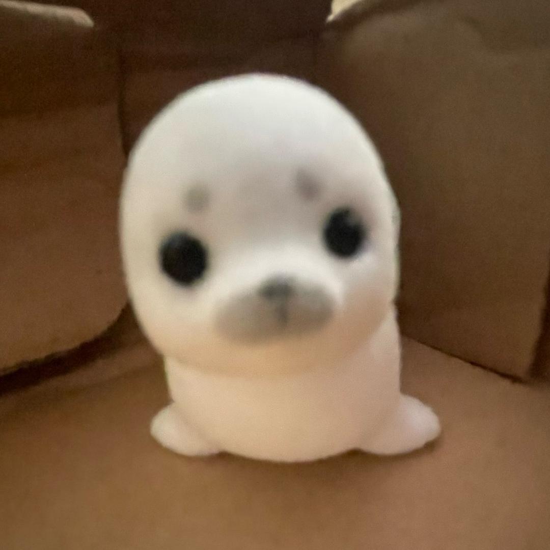 西一袄松