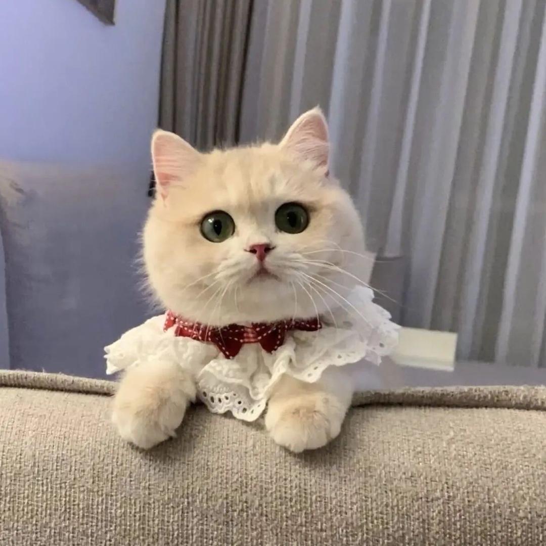 Kardashian  精品女鞋