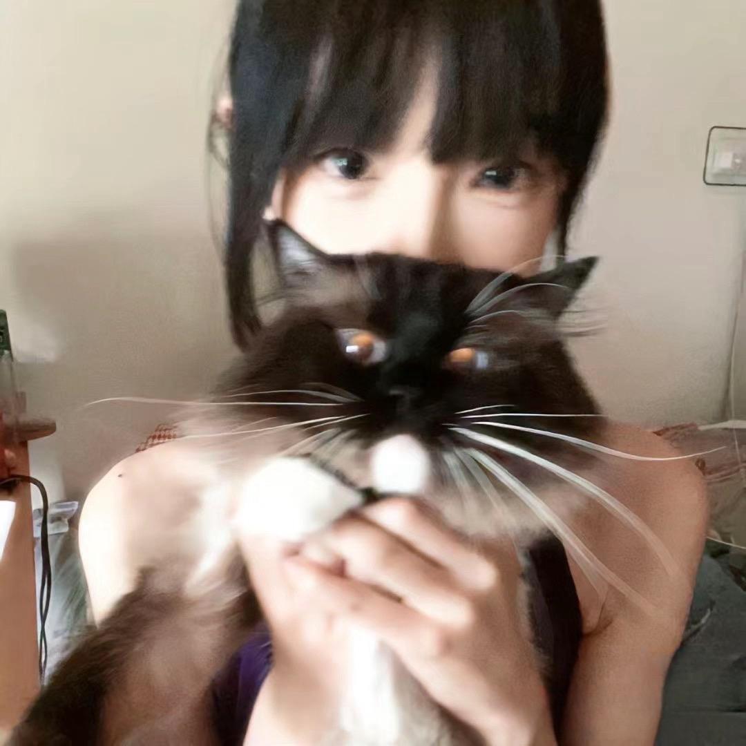 小猫.