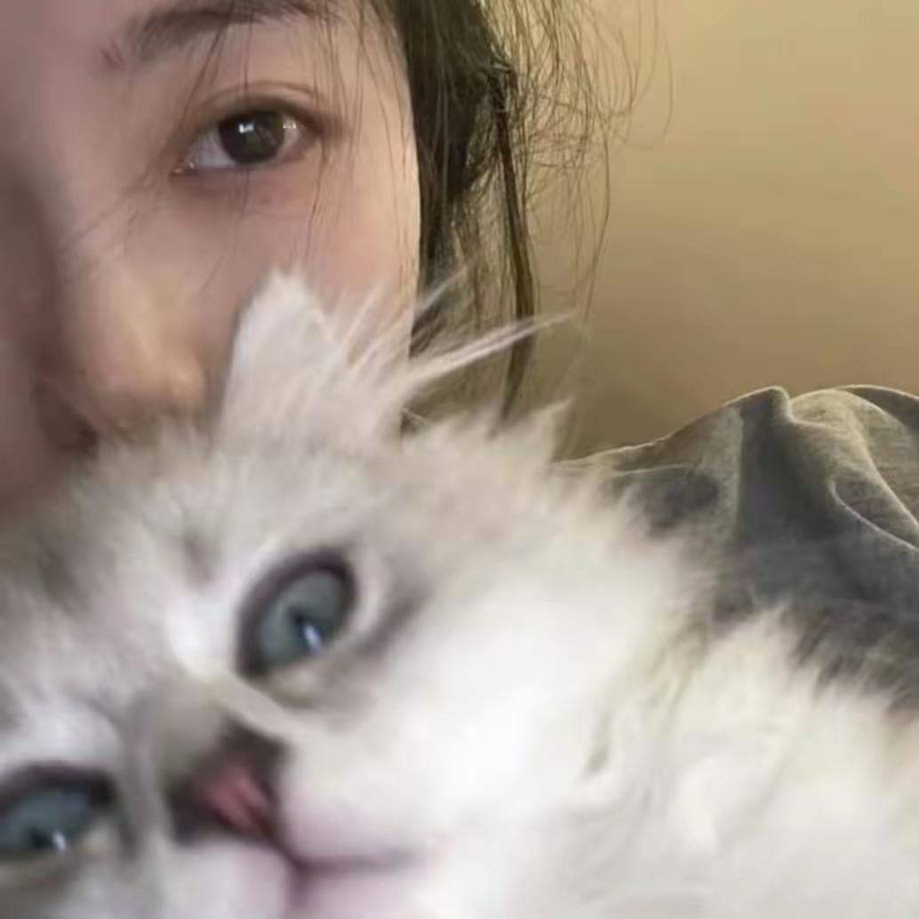 好主意