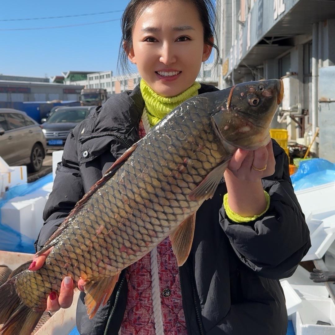 东北安鑫水产品店