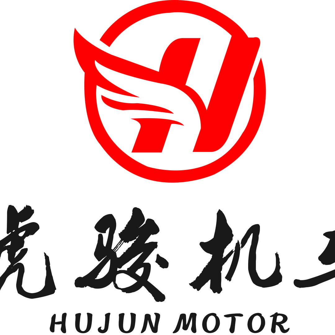 常州虎骏机车