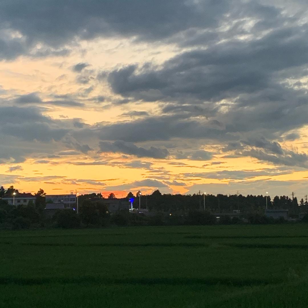 筱竹