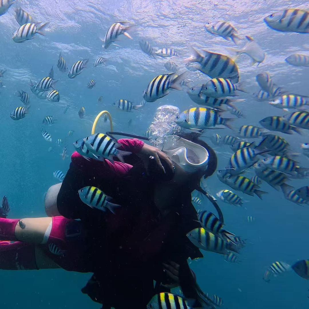 亚龙湾潜水club