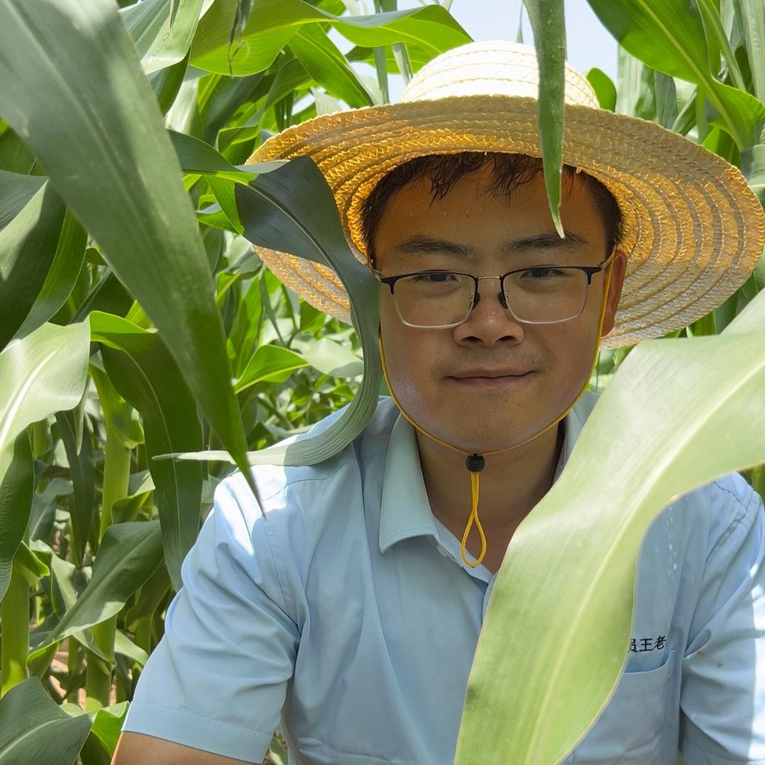 小王专注植保