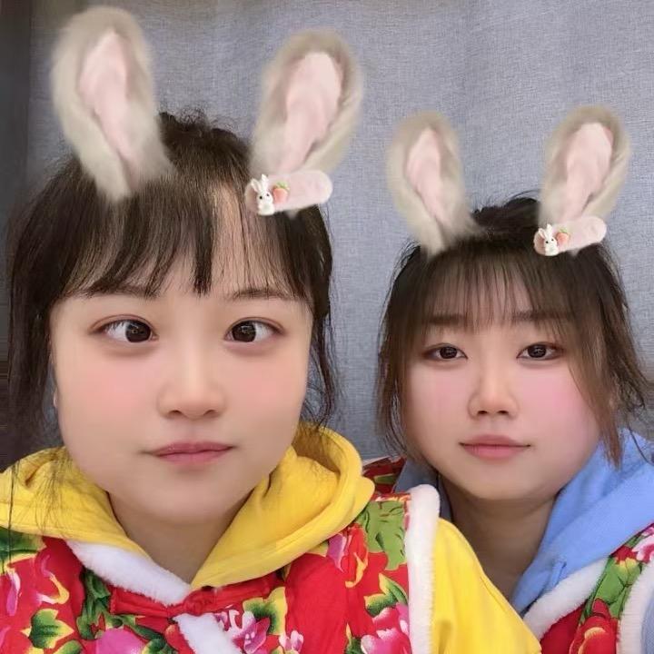甜菜贺子