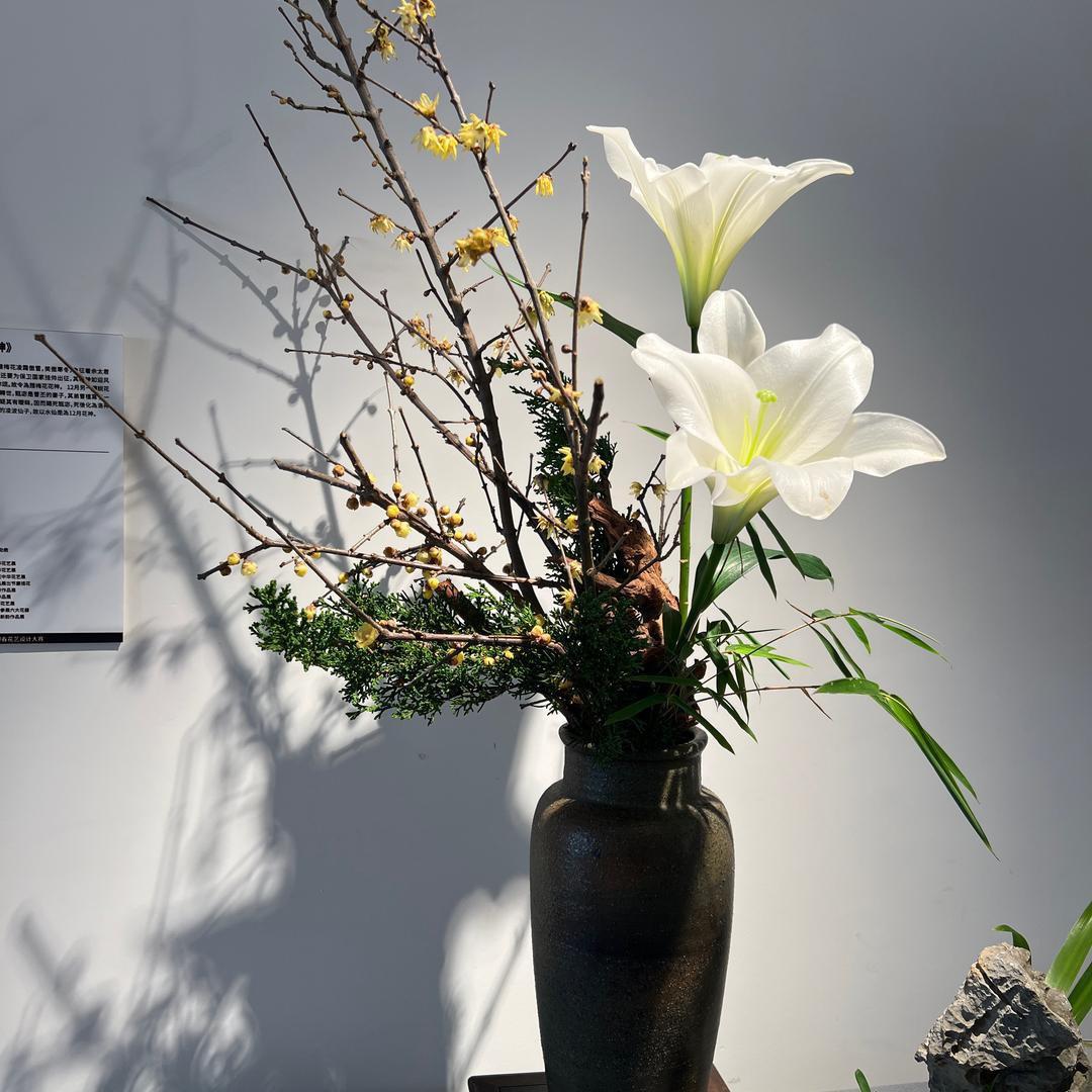 大A掌柜传媒公司