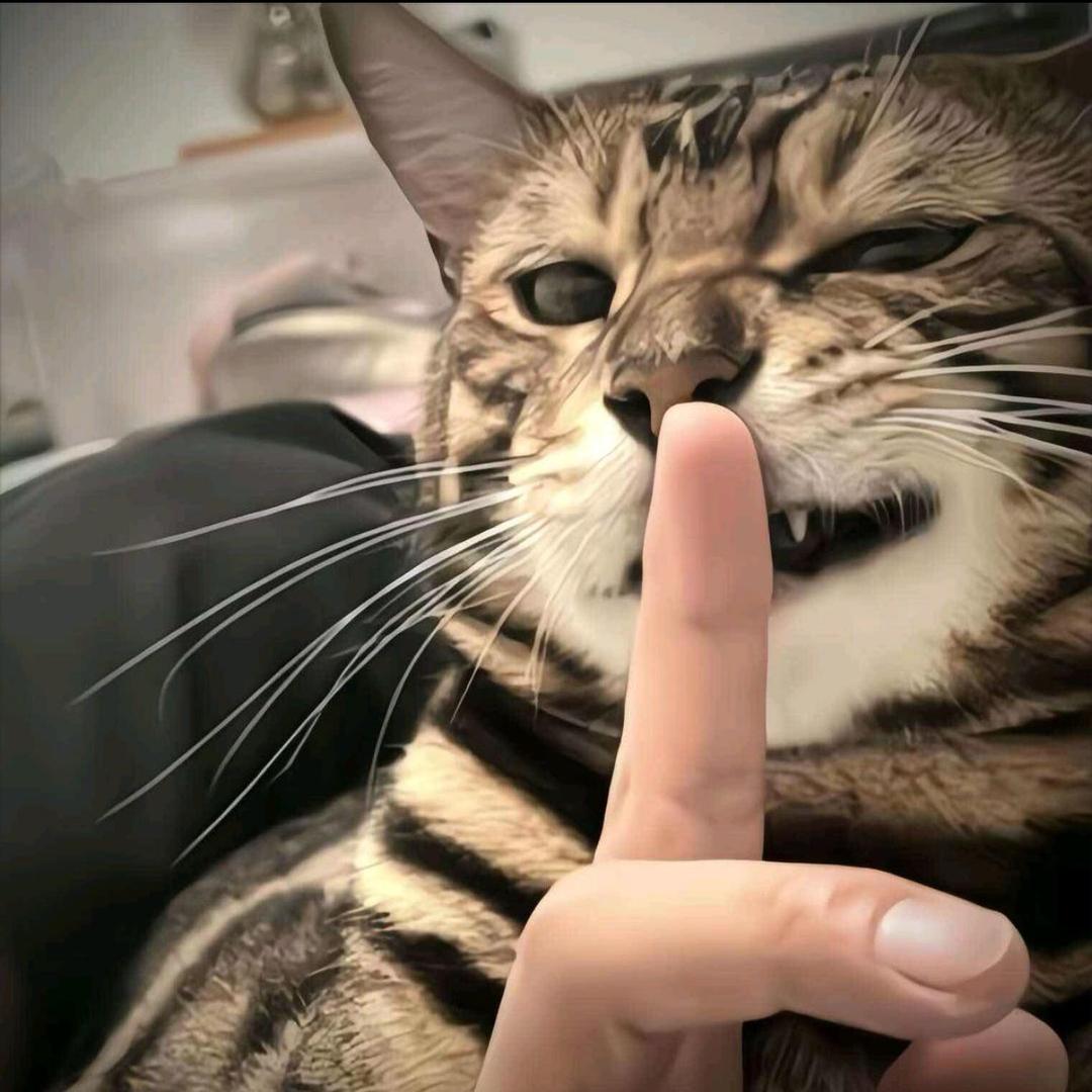 小叶爱扛楼