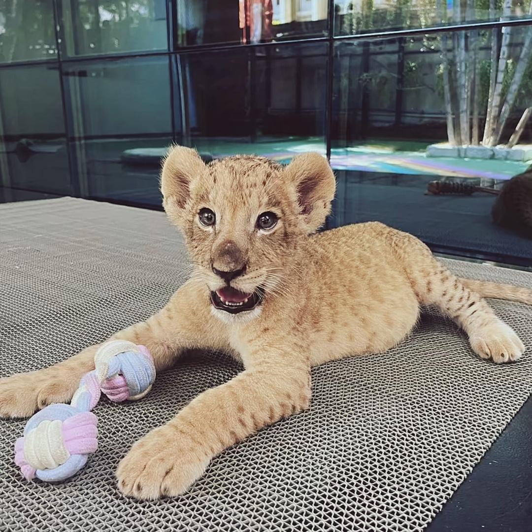 每天都是好心情