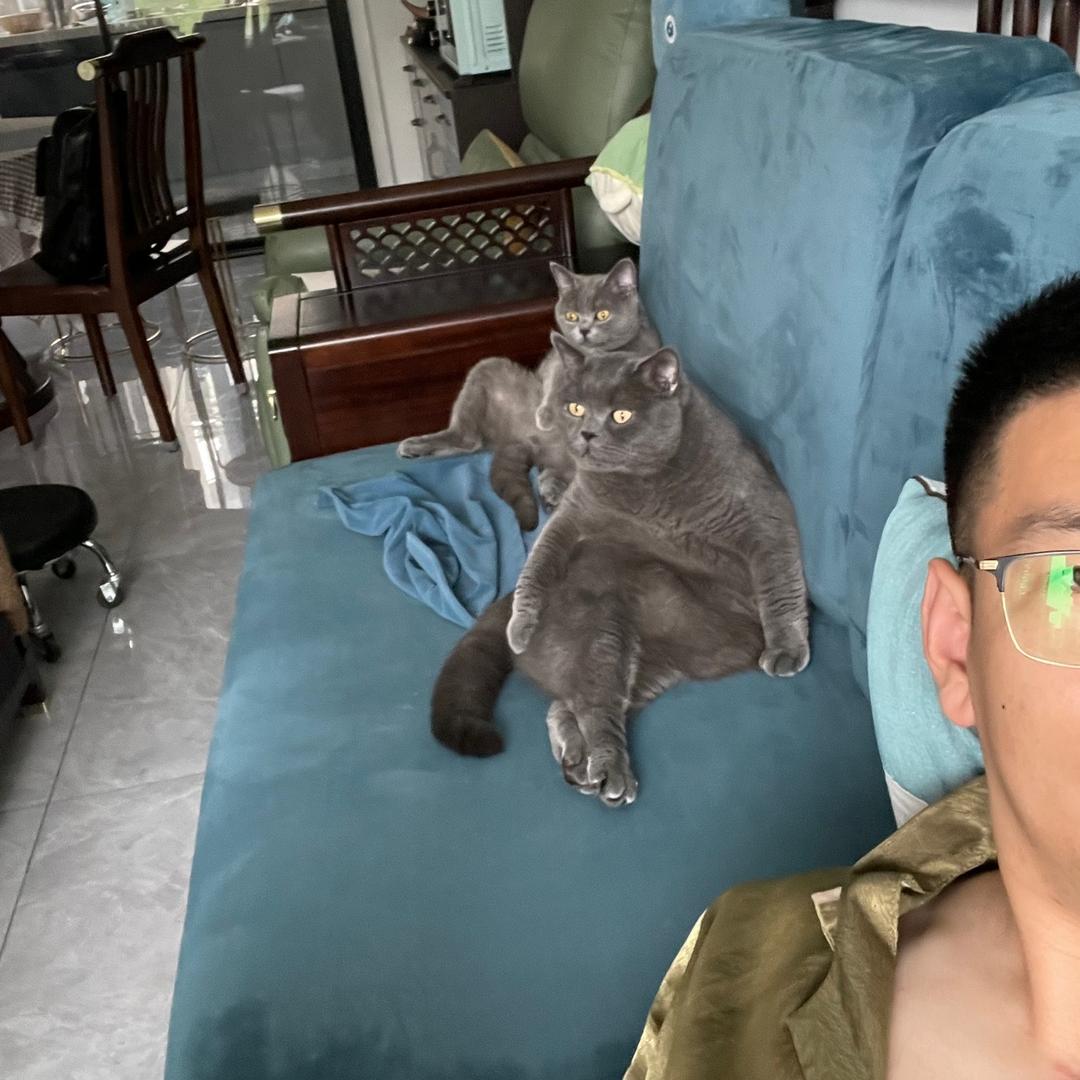 一位不愿透漏名字的孙MQ先生