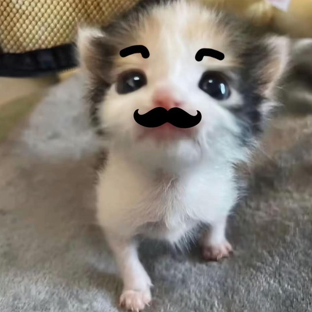 ʚ 蕊 ɞ
